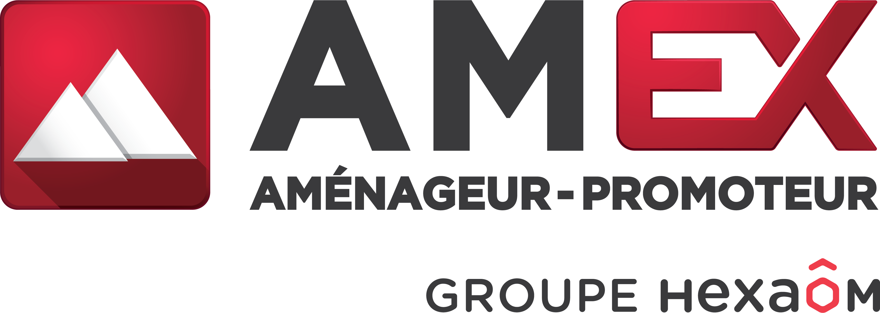 Logo de AMEX - AMENAGEUR - PROMOTEUR pour l'annonce 144603436