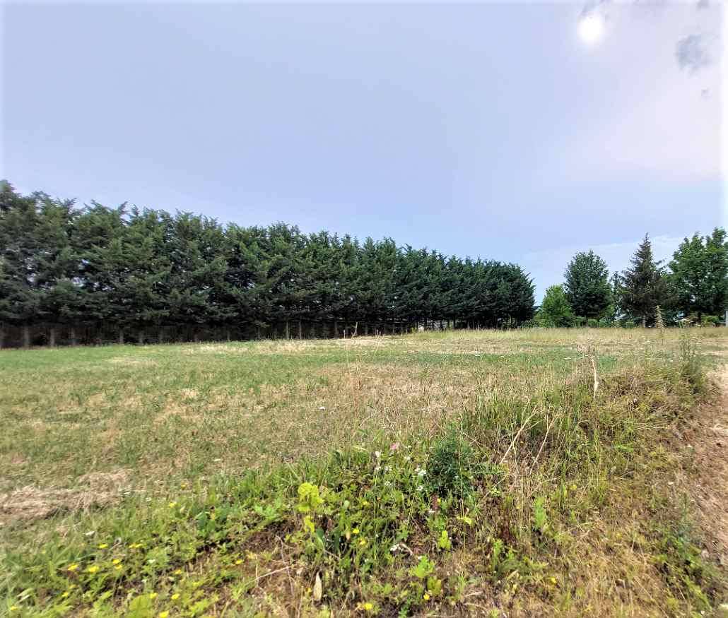 Terrain seul à Saint-Augustin-des-Bois en Maine-et-Loire (49) de 300 m² à vendre au prix de 40000€