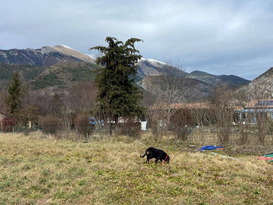 Terrain seul à La Javie en Alpes-de-Haute-Provence (04) de 1000 m² à vendre au prix de 100000€