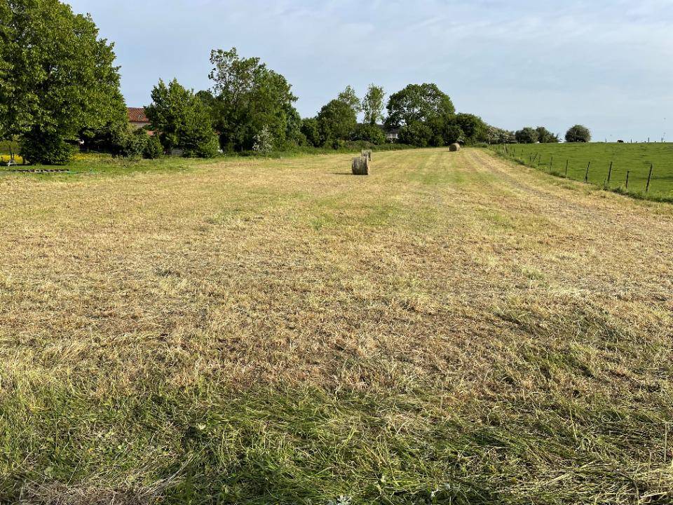 Terrain seul à Douchy-lès-Ayette en Pas-de-Calais (62) de 4000 m² à vendre au prix de 120000€ - 2