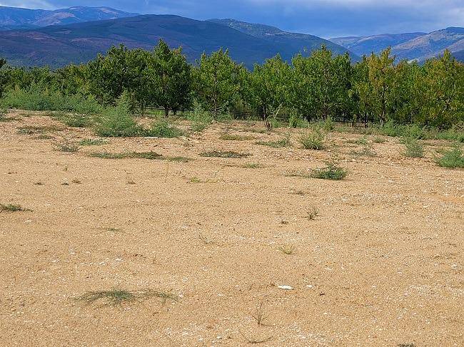 Terrain seul à Los Masos en Pyrénées-Orientales (66) de 287 m² à vendre au prix de 59000€