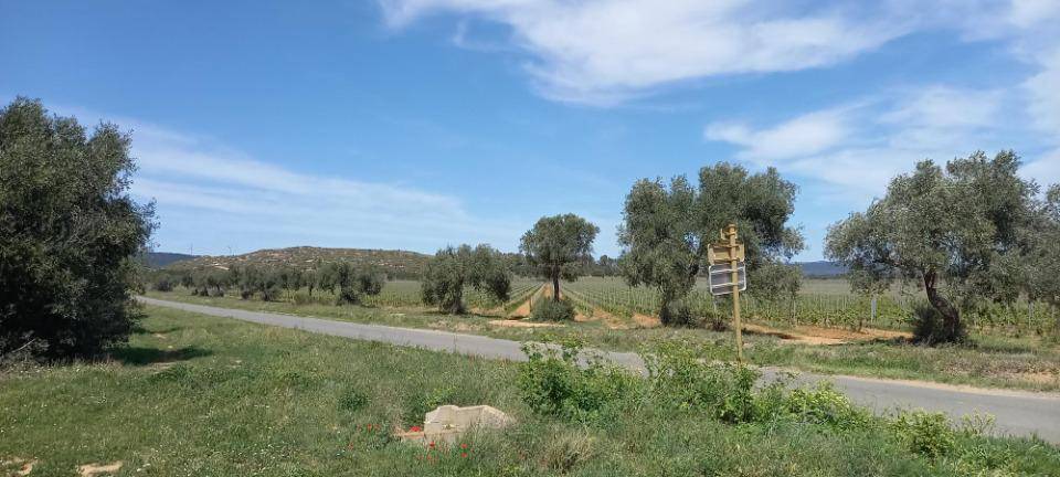 Terrain seul à Paraza en Aude (11) de 431 m² à vendre au prix de 59000€ - 2