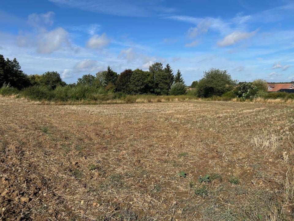 Image de l'annonce Terrain à bâtir à Calonne-Ricouart (62470)