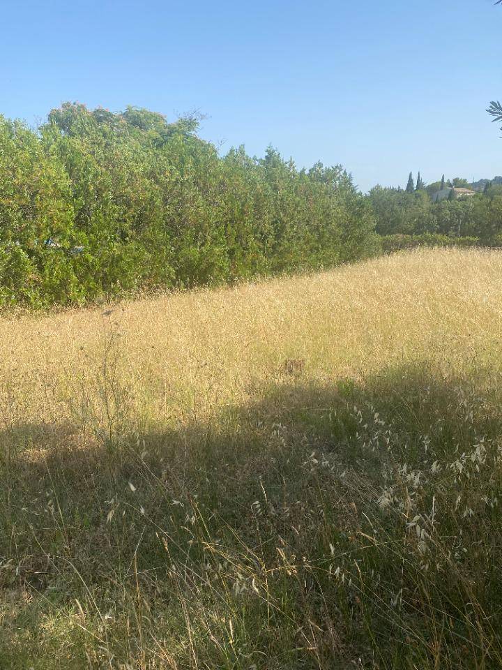 Terrain seul à Plaissan en Hérault (34) de 320 m² à vendre au prix de 100000€