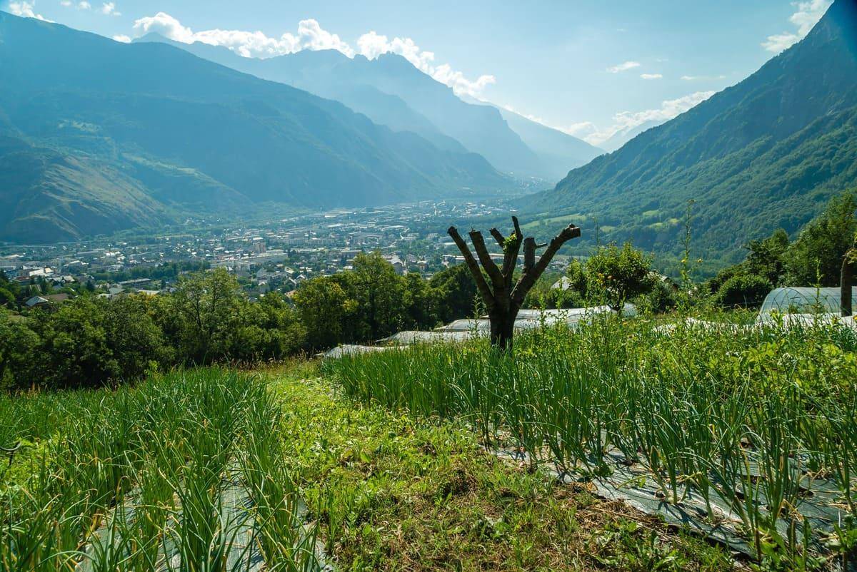 Programme terrain + maison à Vimines en Savoie (73) de 89 m² à vendre au prix de 366737€ - 3