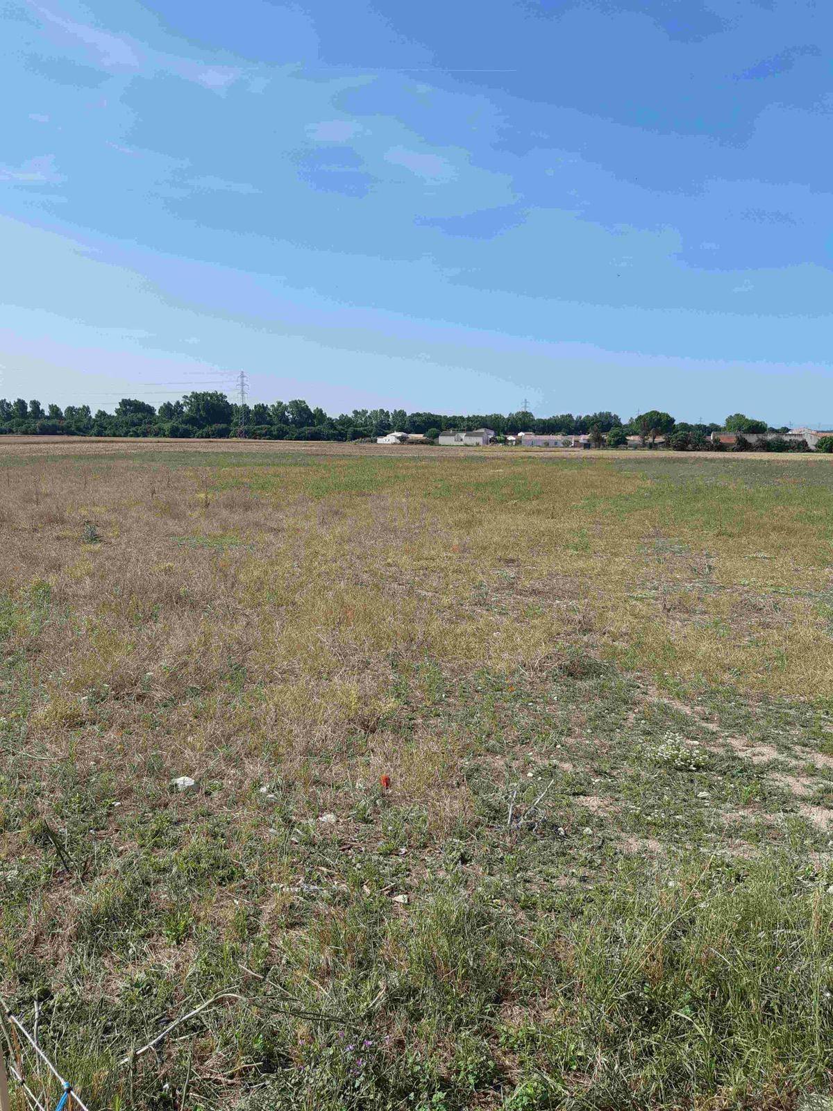 Terrain seul à Aigrefeuille-sur-Maine en Loire-Atlantique (44) de 473 m² à vendre au prix de 127000€