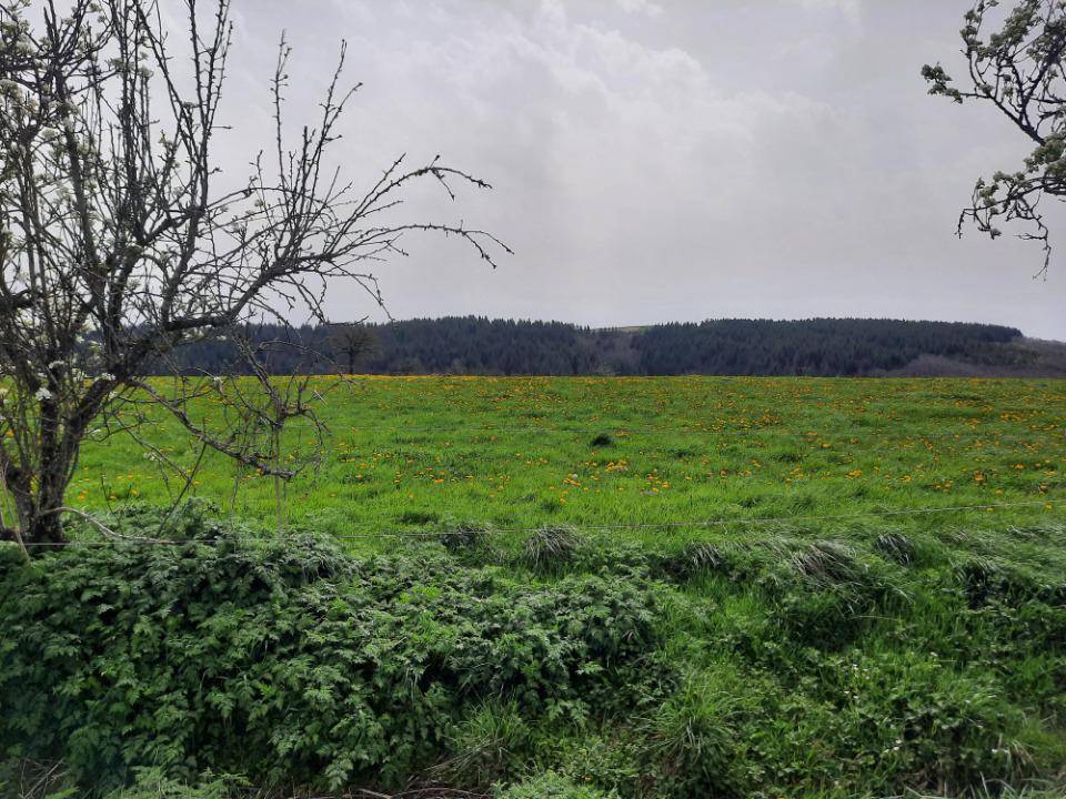 Terrain seul à Arpajon-sur-Cère en Cantal (15) de 1500 m² à vendre au prix de 42000€ - 3