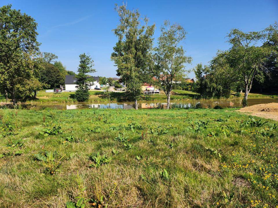 Programme terrain + maison à Seppois-le-Bas en Haut-Rhin (68) de 225 m² à vendre au prix de 799400€ - 4