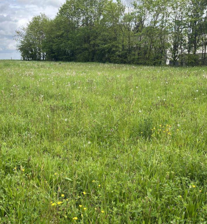 Terrain seul à Aiglemont en Ardennes (08) de 470 m² à vendre au prix de 47000€