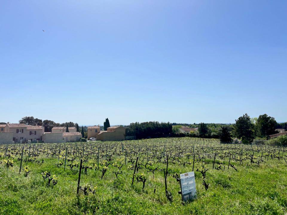 Terrain seul à Vacqueyras en Vaucluse (84) de 543 m² à vendre au prix de 140000€ - 1
