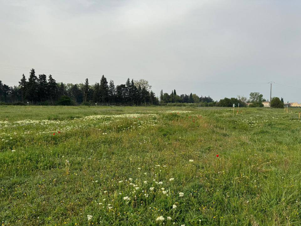 Terrain seul à Monteux en Vaucluse (84) de 651 m² à vendre au prix de 190000€ - 4