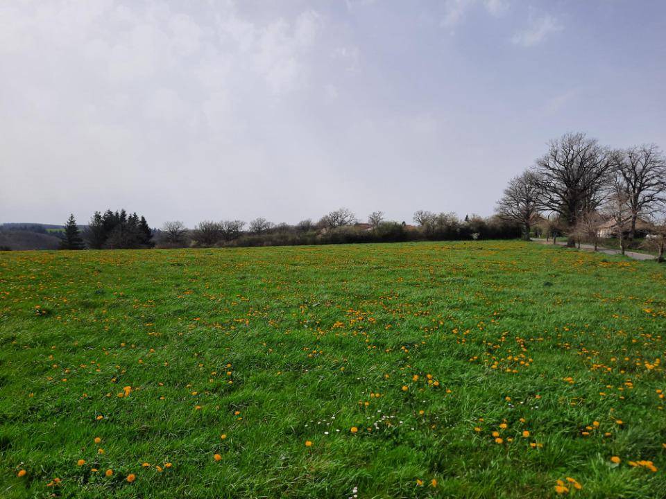 Terrain seul à Arpajon-sur-Cère en Cantal (15) de 1500 m² à vendre au prix de 42000€ - 1