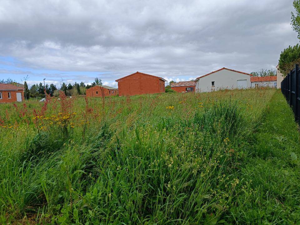 Terrain seul à Peyssies en Haute-Garonne (31) de 809 m² à vendre au prix de 78000€ - 2