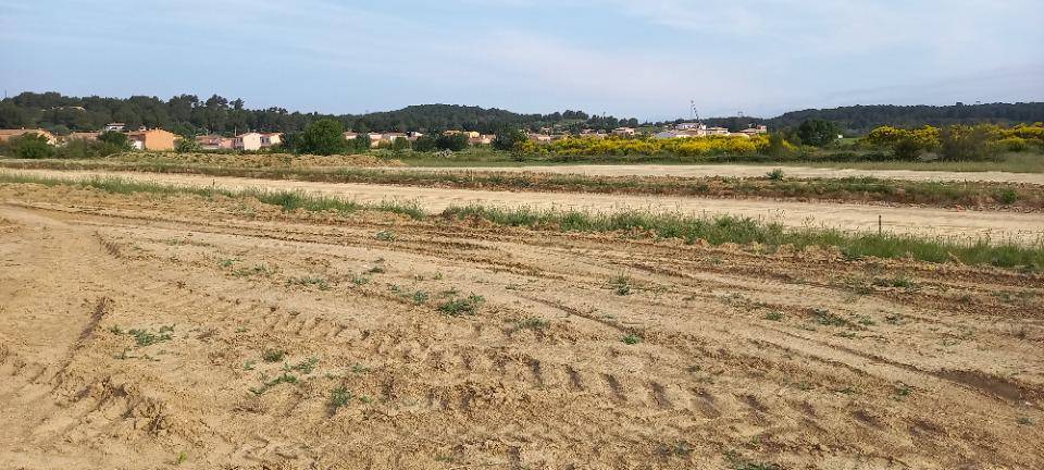 Terrain seul à Lézignan-Corbières en Aude (11) de 4676 m² à vendre au prix de 99900€ - 1