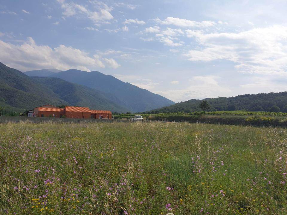 Terrain seul à Espira-de-Conflent en Pyrénées-Orientales (66) de 1500 m² à vendre au prix de 157000€
