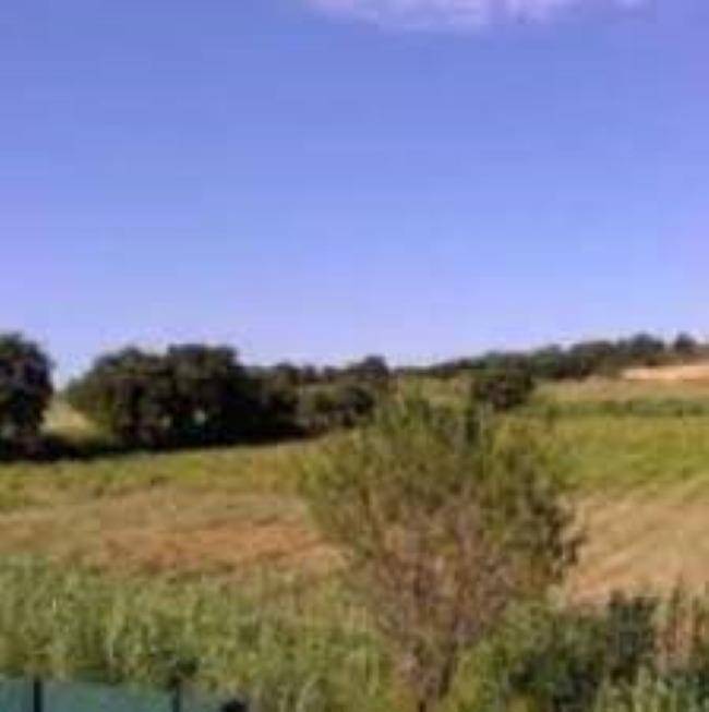 Terrain seul à Pollestres en Pyrénées-Orientales (66) de 535 m² à vendre au prix de 157000€