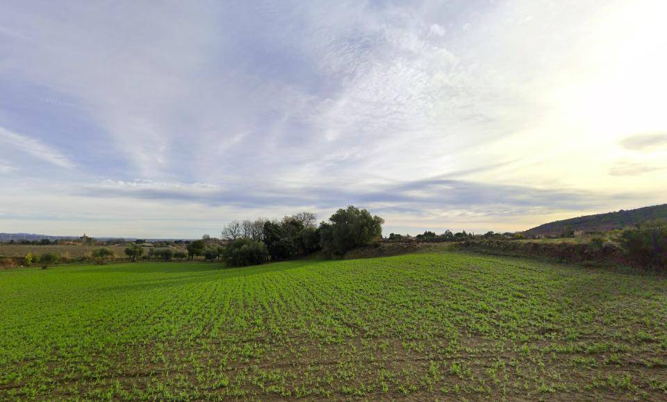 Terrain seul à Castelnou en Pyrénées-Orientales (66) de 1383 m² à vendre au prix de 229900€