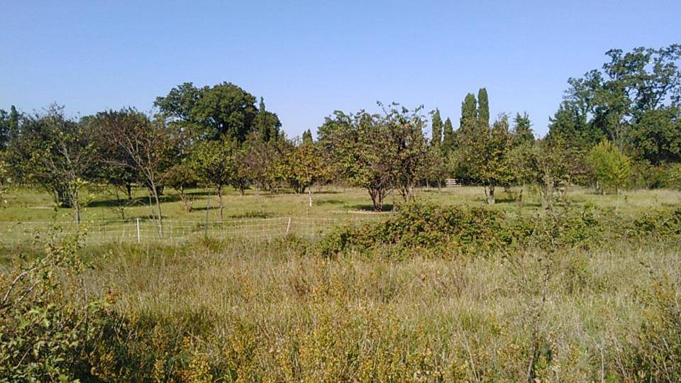 Terrain seul à Caromb en Vaucluse (84) de 500 m² à vendre au prix de 120000€ - 1