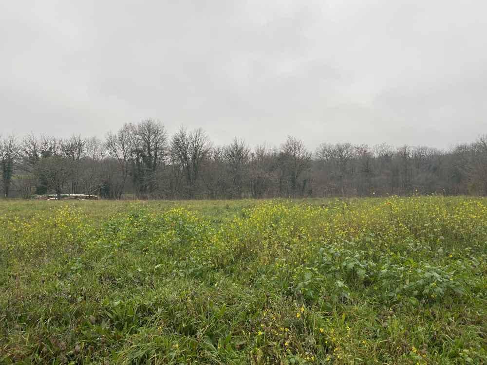 Terrain seul à Esmery-Hallon en Somme (80) de 1230 m² à vendre au prix de 16500€