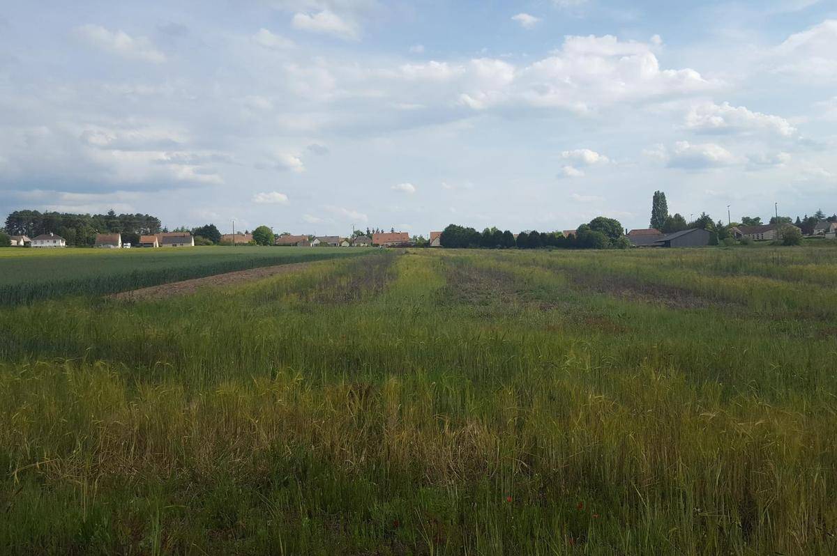 Terrain seul à La Bazoge en Sarthe (72) de 950 m² à vendre au prix de 90000€ - 4