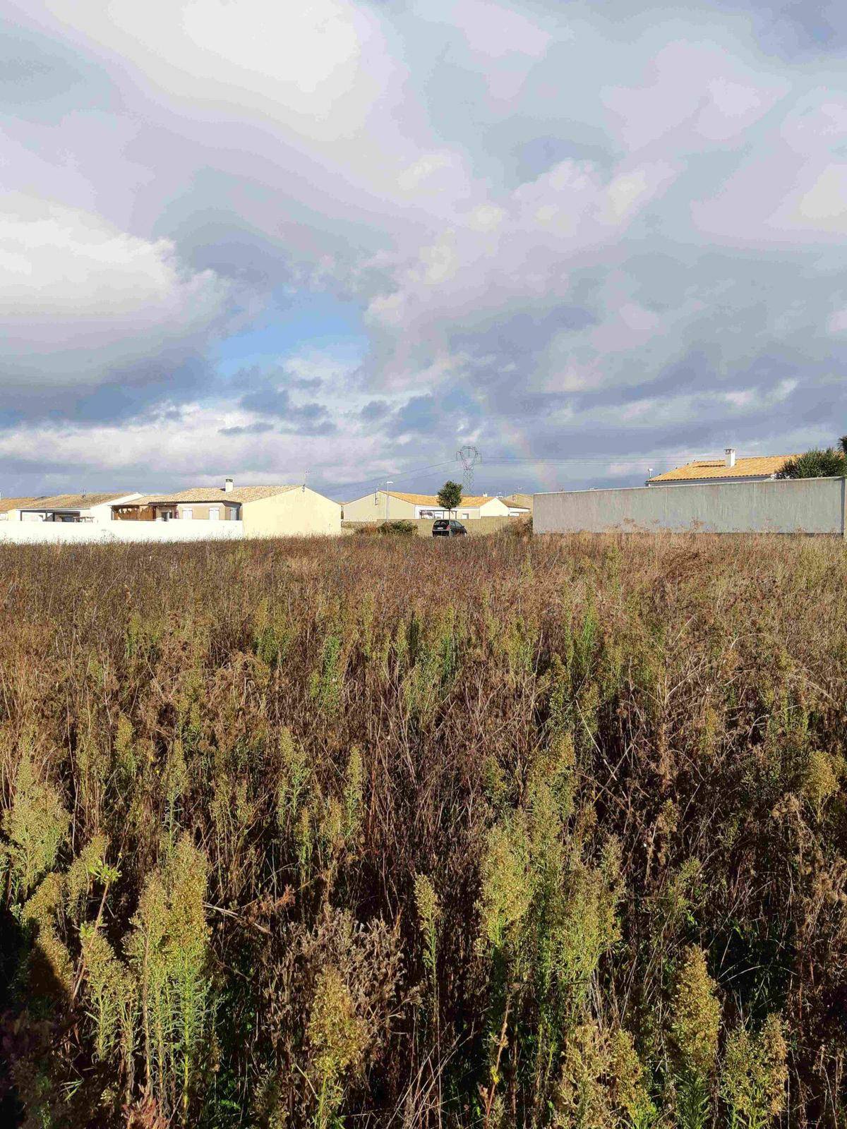 Terrain seul à La Barre-de-Monts en Vendée (85) de 386 m² à vendre au prix de 68500€