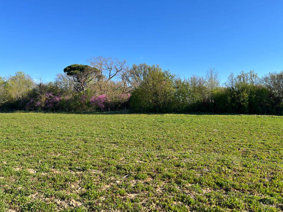 Terrain seul à Labastide-d'Anjou en Aude (11) de 748 m² à vendre au prix de 78450€ - 3