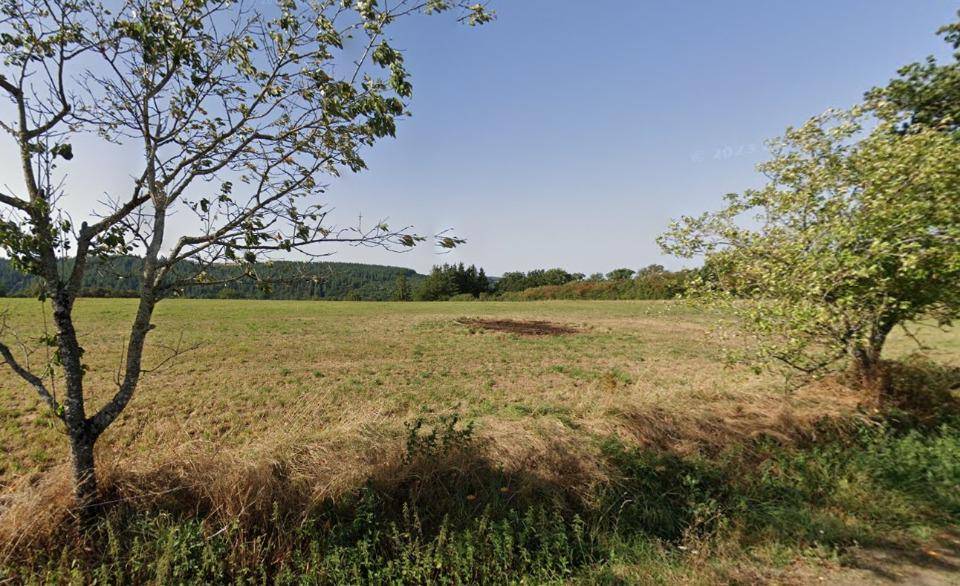 Terrain seul à Arpajon-sur-Cère en Cantal (15) de 1500 m² à vendre au prix de 42000€ - 2