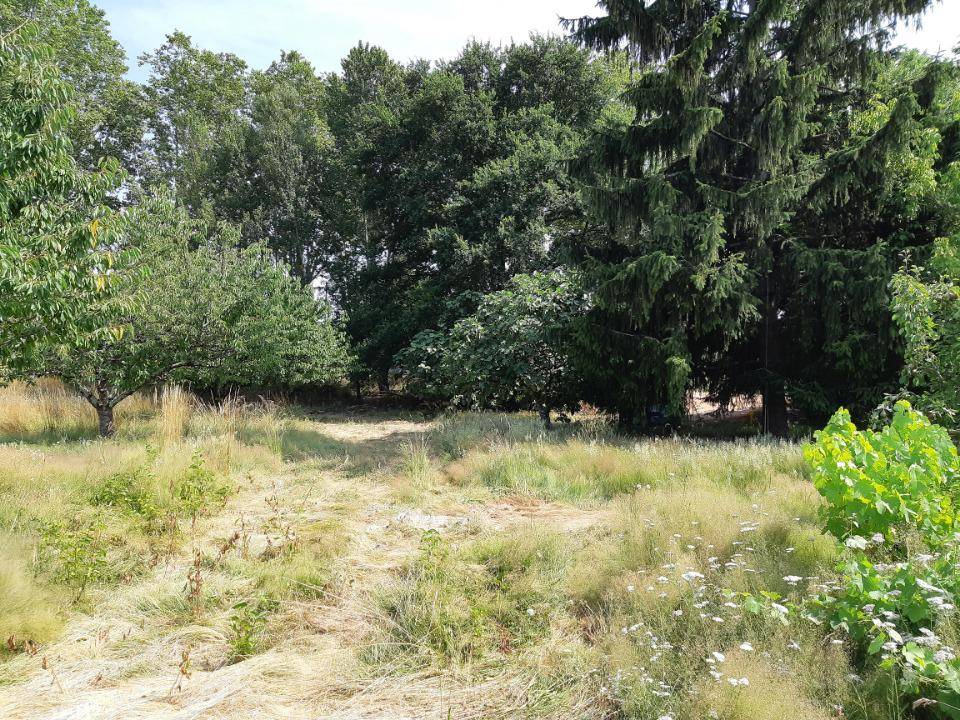 Terrain seul à Saint-Rustice en Haute-Garonne (31) de 800 m² à vendre au prix de 69000€ - 2