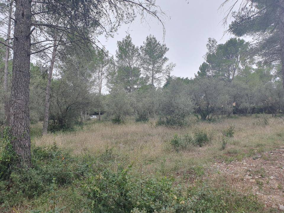 Terrain seul à Langlade en Gard (30) de 800 m² à vendre au prix de 200000€