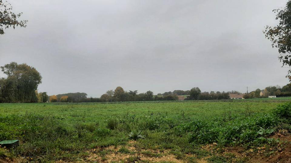 Terrain seul à Chemiré-le-Gaudin en Sarthe (72) de 990 m² à vendre au prix de 65000€ - 1