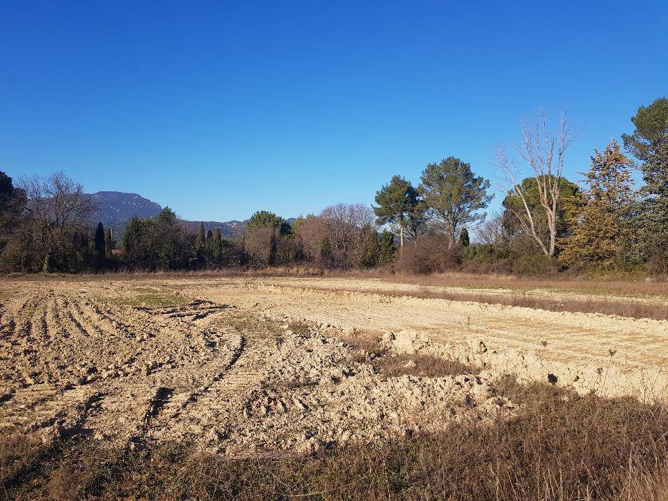 Terrain seul à Le Triadou en Hérault (34) de 500 m² à vendre au prix de 239000€