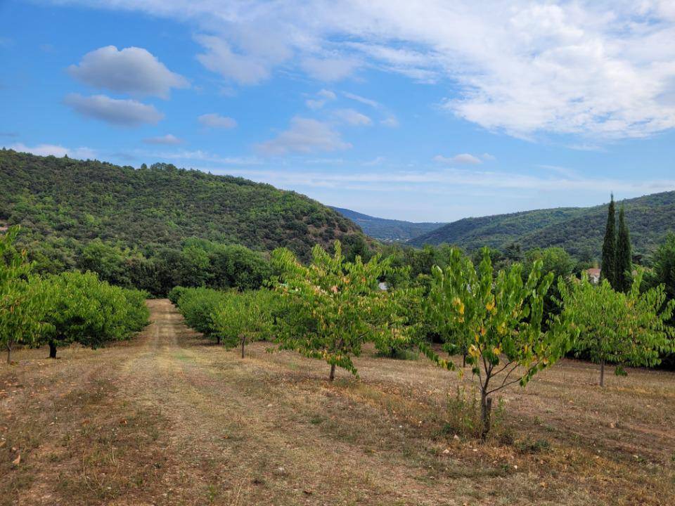 Terrain seul à Céret en Pyrénées-Orientales (66) de 3000 m² à vendre au prix de 185000€
