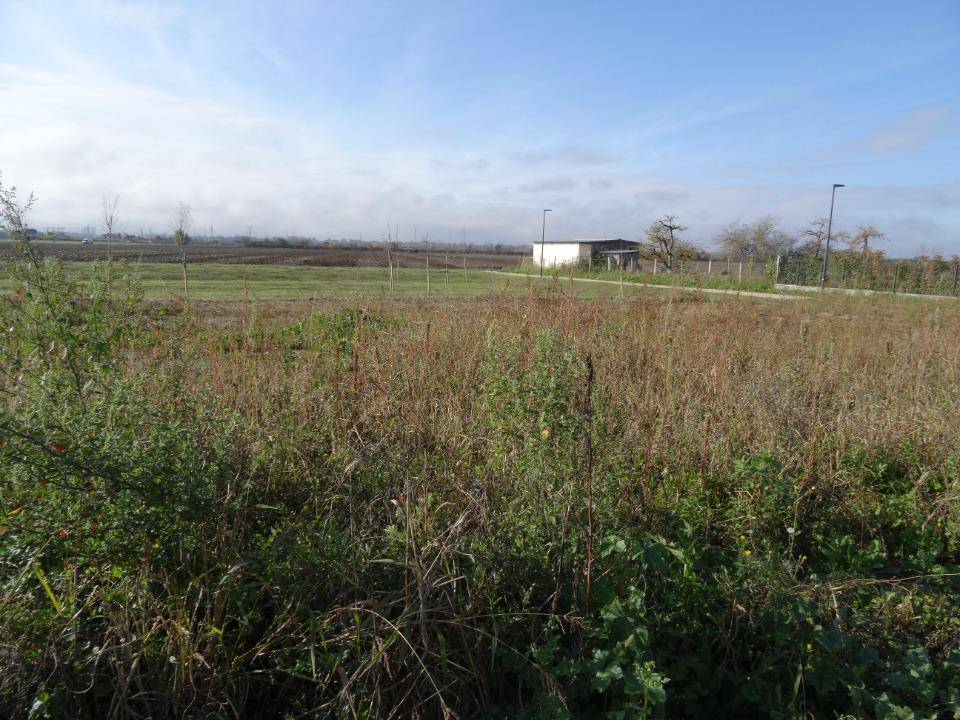 Terrain seul à Dieupentale en Tarn-et-Garonne (82) de 500 m² à vendre au prix de 52500€ - 4