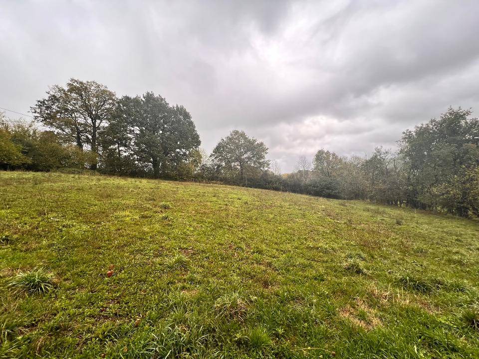 Terrain seul à Sansac-de-Marmiesse en Cantal (15) de 3400 m² à vendre au prix de 50000€ - 3