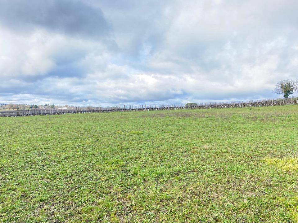 Terrain seul à Pomport en Dordogne (24) de 1800 m² à vendre au prix de 43900€ - 4