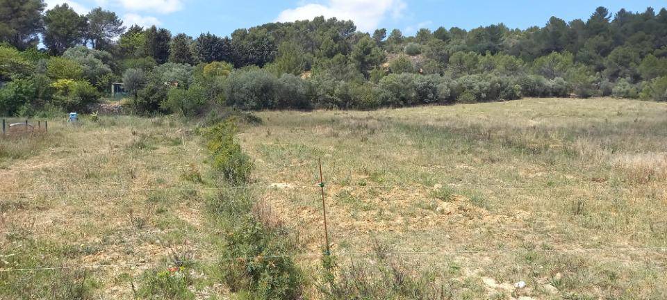 Terrain seul à Bize-Minervois en Aude (11) de 462 m² à vendre au prix de 65900€ - 2