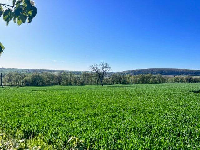 Terrain seul à Montigny-aux-Amognes en Nièvre (58) de 850 m² à vendre au prix de 21000€ - 1