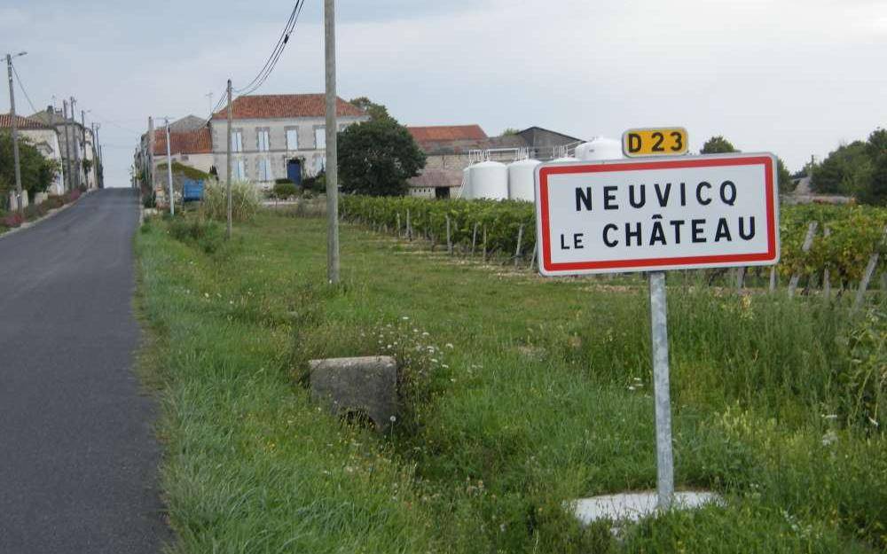 Terrain seul à Neuvicq-le-Château en Charente-Maritime (17) de 600 m² à vendre au prix de 22000€ - 2