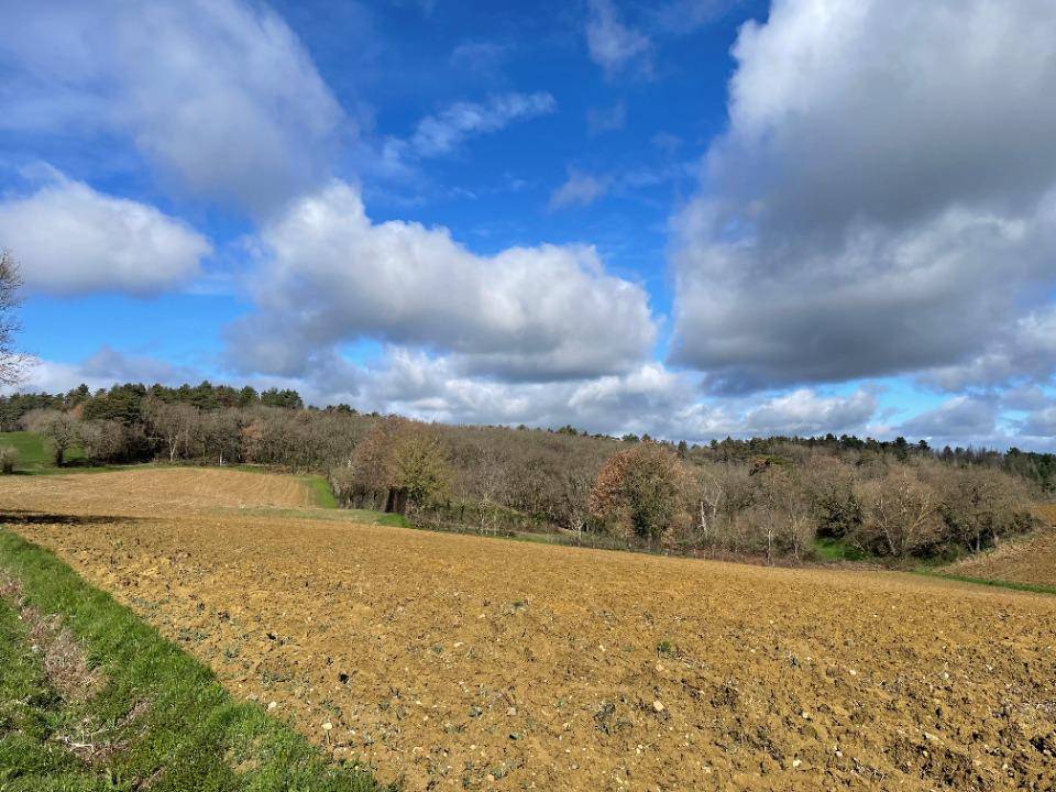 Terrain seul à Loubens-Lauragais en Haute-Garonne (31) de 2133 m² à vendre au prix de 100000€