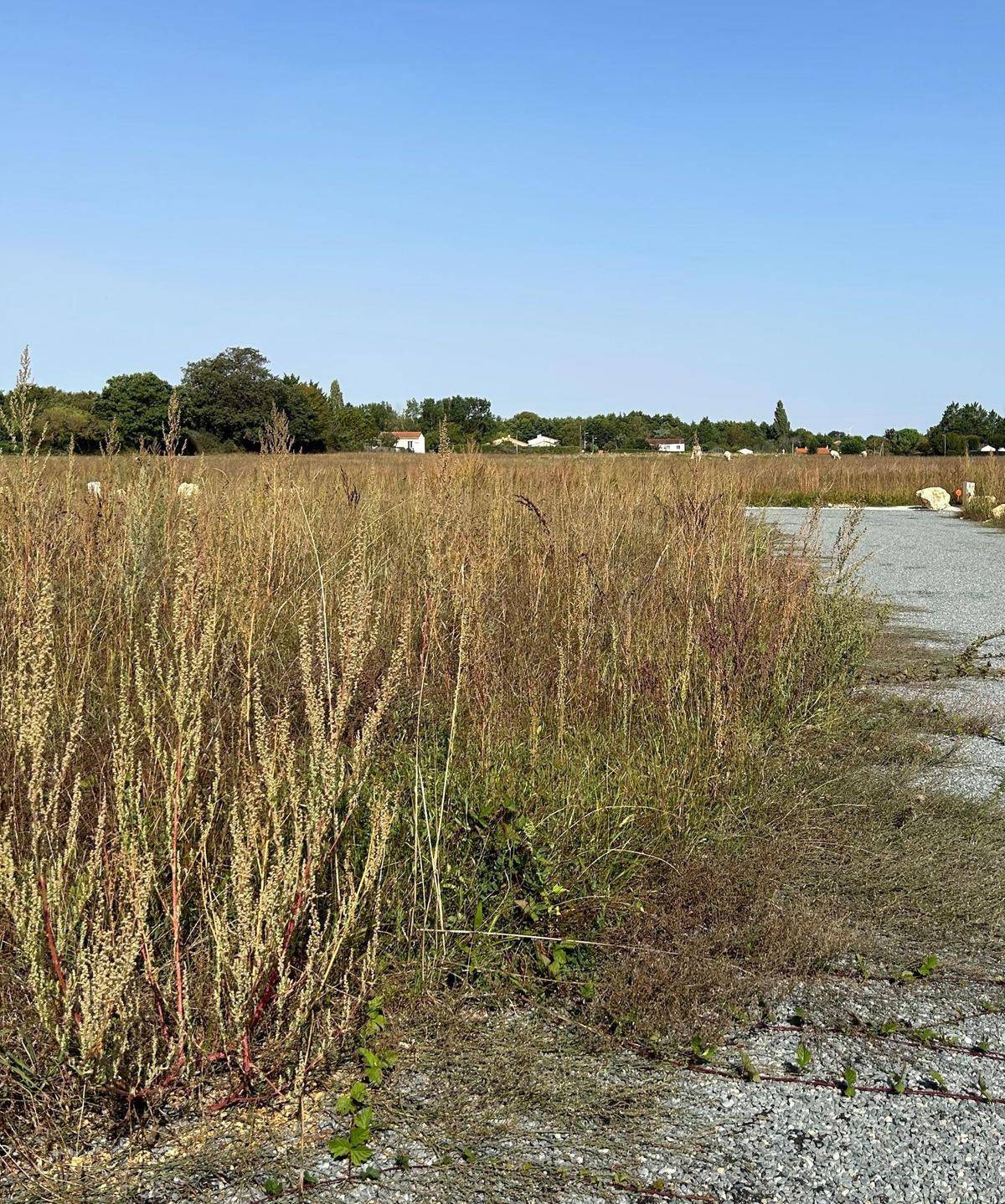 Terrain seul à Port-d'Envaux en Charente-Maritime (17) de 628 m² à vendre au prix de 60000€
