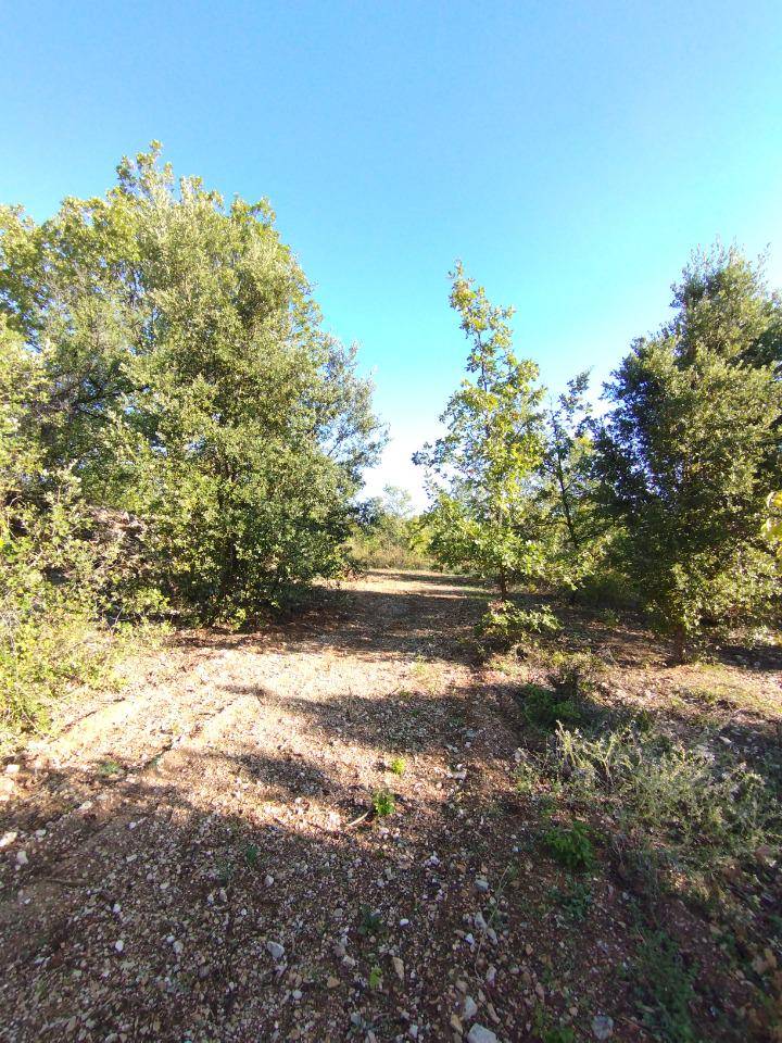 Terrain seul à Vallon-Pont-d'Arc en Ardèche (07) de 800 m² à vendre au prix de 99900€