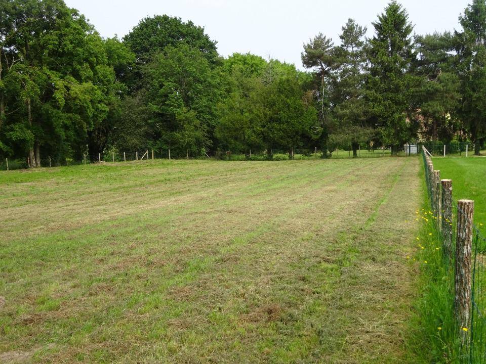 Terrain seul à Méry-ès-Bois en Cher (18) de 2398 m² à vendre au prix de 30000€ - 1