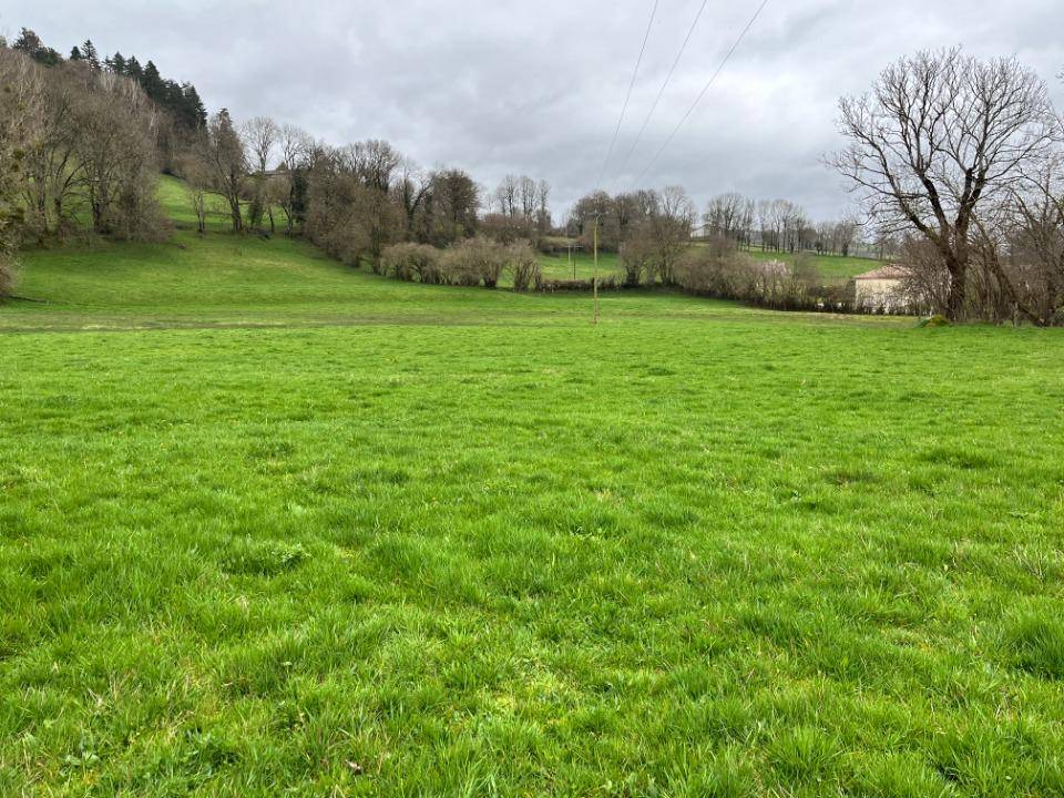 Terrain seul à Vézac en Cantal (15) de 1355 m² à vendre au prix de 47425€ - 1