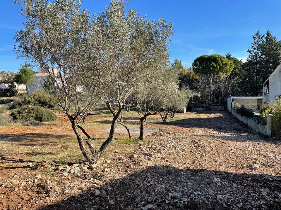 Programme terrain + maison à Cournonterral en Hérault (34) de 130 m² à vendre au prix de 478500€ - 4