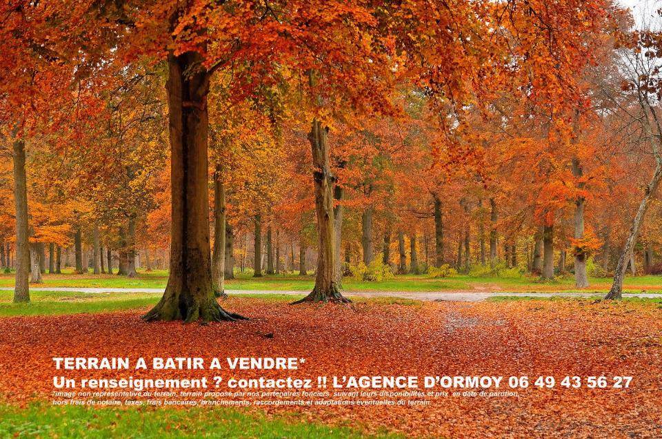 Terrain seul à Arpajon en Essonne (91) de 247 m² à vendre au prix de 130000€