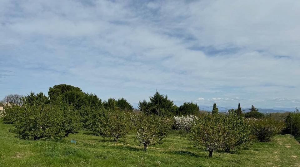 Terrain seul à Saint-Julien-de-Peyrolas en Gard (30) de 440 m² à vendre au prix de 65500€ - 3