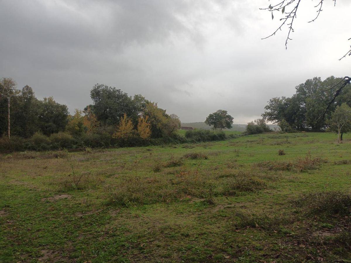 Terrain seul à Bassillac et Auberoche en Dordogne (24) de 7600 m² à vendre au prix de 70000€