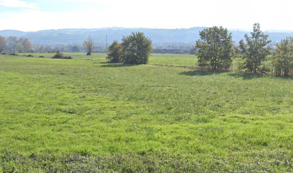 Terrain seul à Revel en Haute-Garonne (31) de 700 m² à vendre au prix de 65000€ - 2