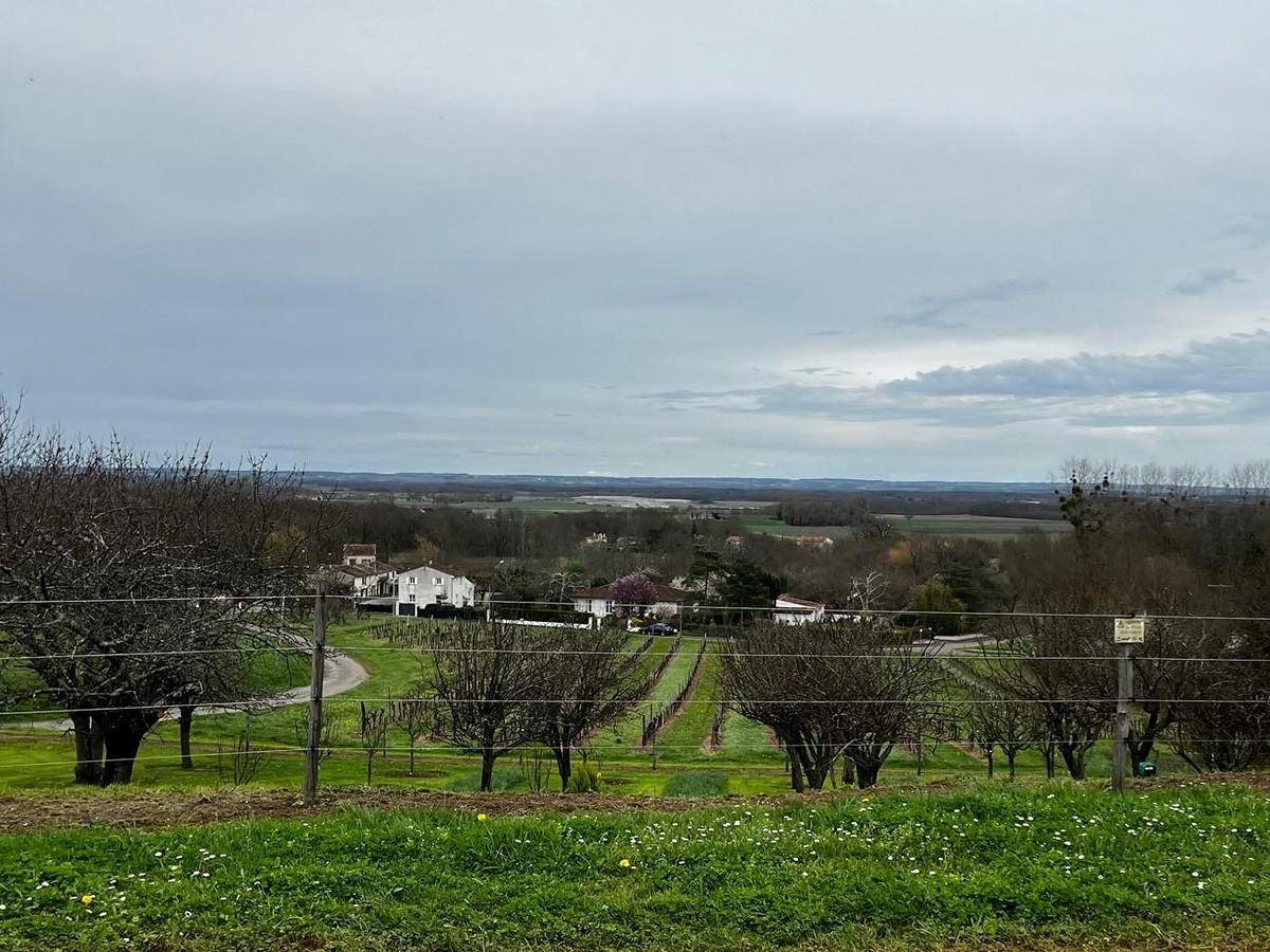 Terrain seul à Cherves-Richemont en Charente (16) de 670 m² à vendre au prix de 47500€ - 1