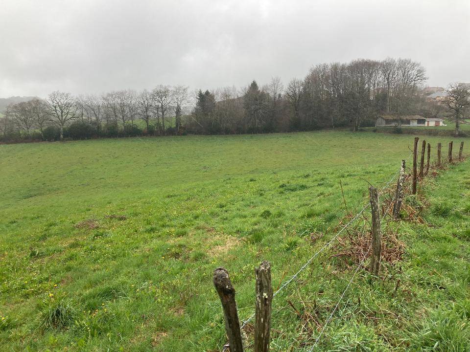 Terrain seul à Lafeuillade-en-Vézie en Cantal (15) de 1160 m² à vendre au prix de 32000€ - 3